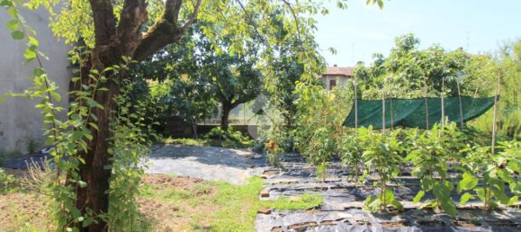 3 bedrooms House in Castiglione d'Adda, Italy No. 305657 28