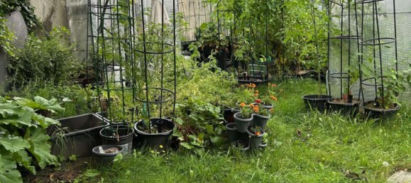 2 bedrooms Apartment in Oberhausen, Germany No. 221179 15