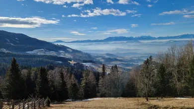 Terreno de 5 divisões em Wolfsberg, Austria N.º 197955