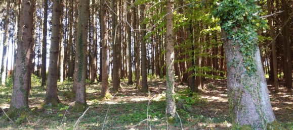 Estúdio em Rosenheim, Germany N.º 317498 13