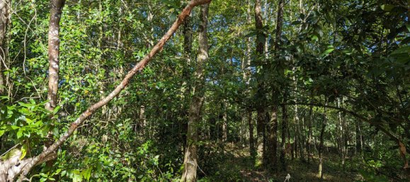 2 غرف نوم قلاع في Vicq-Exemplet, France رقم 93427 9