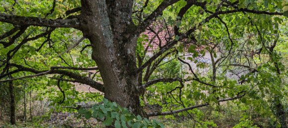 2 غرف نوم قلاع في Vicq-Exemplet, France رقم 93427 8