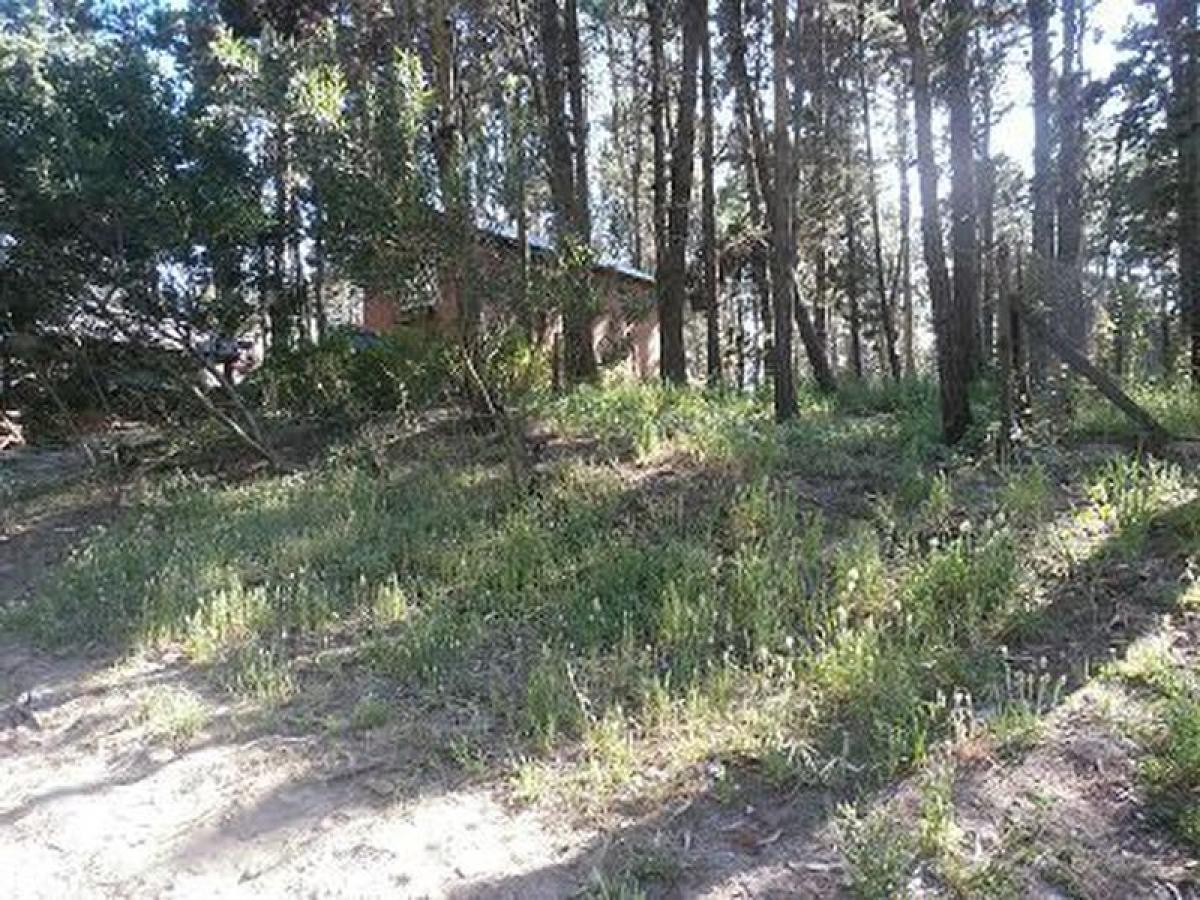 Terrain à Mar del Plata, Argentina No. 114816