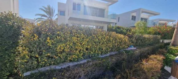 4 bedrooms Villa in Pegeia, Cyprus No. 81291 3