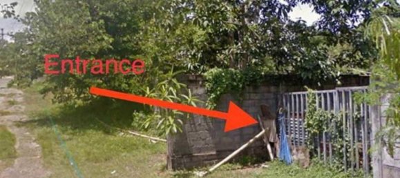 Terrain à Tabanan, Indonesia 1750m² No. 4239 5