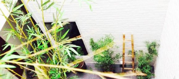 2 Schlafzimmer Wohnung in Hoan Kiem, Vietnam, Nr. 5178 12