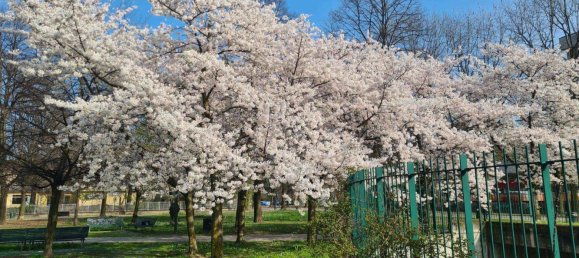 1 room Garage in Milan, Italy No. 239640 27