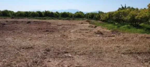 2 غرف نوم منزل في Sueca, Spain رقم 134895 9