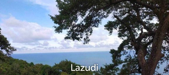 Commercial property in Surat Thani, Thailand No. 24861 4