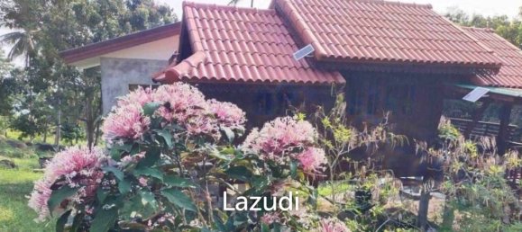 Commercial property in Surat Thani, Thailand No. 24861 5