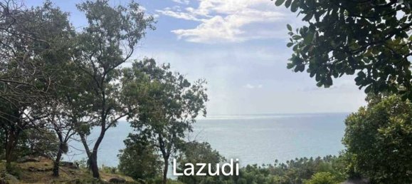 Commercial property in Surat Thani, Thailand No. 24861 3