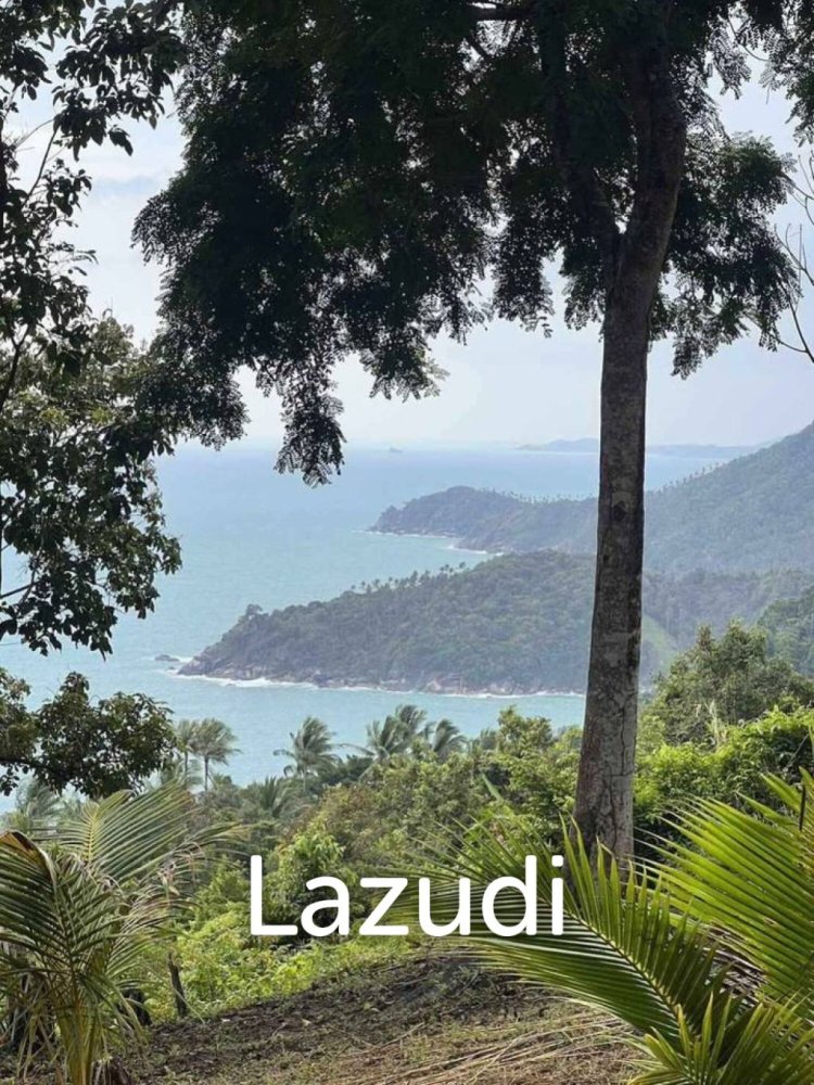  Commercial property in Surat Thani, Thailand No. 24861