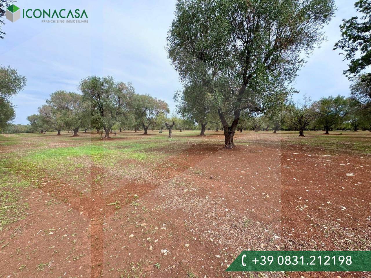 Земельный участок в Остуни, Италия № 28012