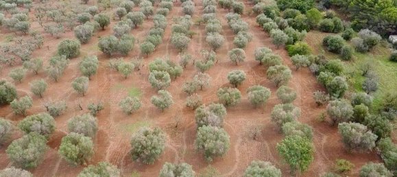 Земельный участок в Остуни, Италия № 28012 2