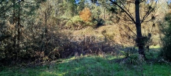 Grundstück in Viseu, Portugal, Nr. 88010 12