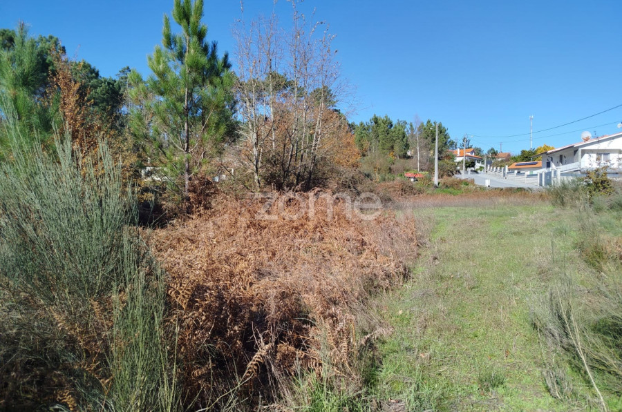 Grundstück in Viseu, Portugal, Nr. 88010