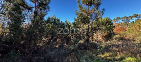 Grundstück in Viseu, Portugal, Nr. 88010 19