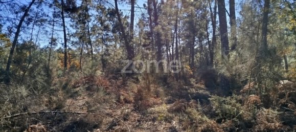 Grundstück in Viseu, Portugal, Nr. 88010 6