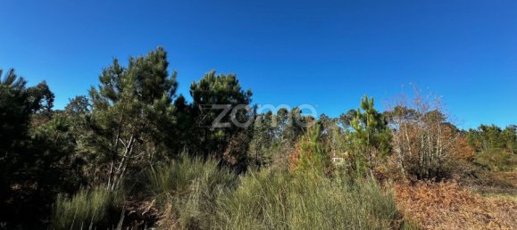 Grundstück in Viseu, Portugal, Nr. 88010 14