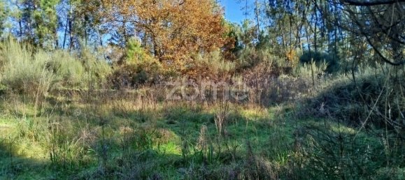 Grundstück in Viseu, Portugal, Nr. 88010 20