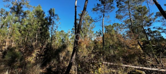 Grundstück in Viseu, Portugal, Nr. 88010 17
