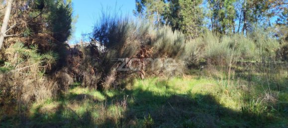 Grundstück in Viseu, Portugal, Nr. 88010 11