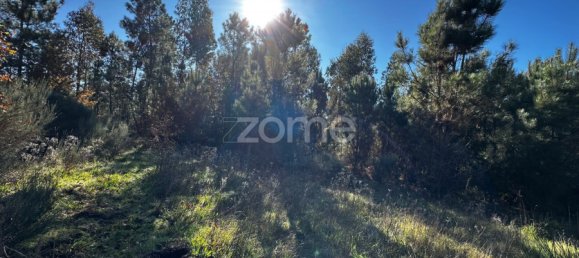 Grundstück in Viseu, Portugal, Nr. 88010 8