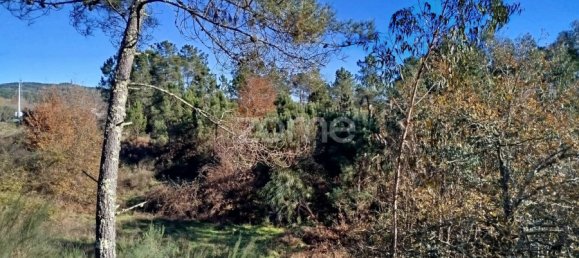 Grundstück in Viseu, Portugal, Nr. 88010 10