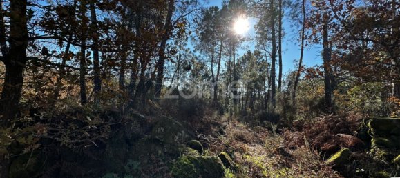 Grundstück in Viseu, Portugal, Nr. 88010 18
