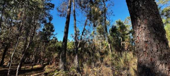 Grundstück in Viseu, Portugal, Nr. 88010 7