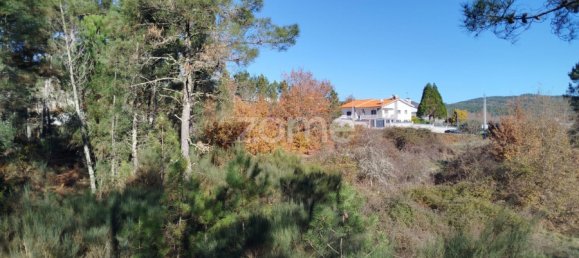 Grundstück in Viseu, Portugal, Nr. 88010 4