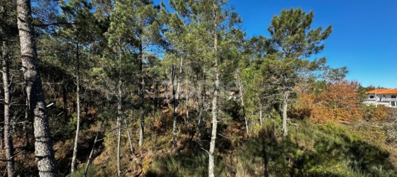 Grundstück in Viseu, Portugal, Nr. 88010 15