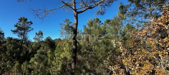 Grundstück in Viseu, Portugal, Nr. 88010 13
