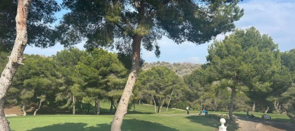 5 غرف نوم منزل في Dehesa De Campoamor, Spain رقم 183635 6