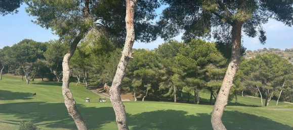 5 غرف نوم منزل في Dehesa De Campoamor, Spain رقم 183635 3