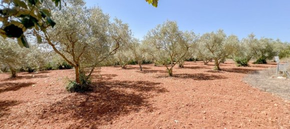 3 Schlafzimmer Haus in Algaida, Spain, Nr. 164390 3