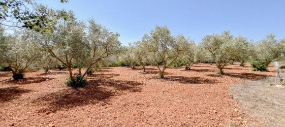 3 Schlafzimmer Haus in Algaida, Spain, Nr. 164390 4