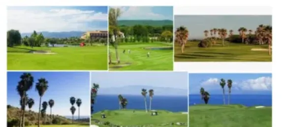 6 bedrooms House in Mino, Spain No. 153948 8