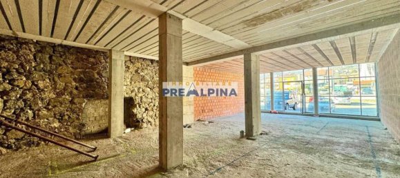 1-Zimmer Gewerbliche Immobilie in Vertova, Italy, Nr. 2989 8