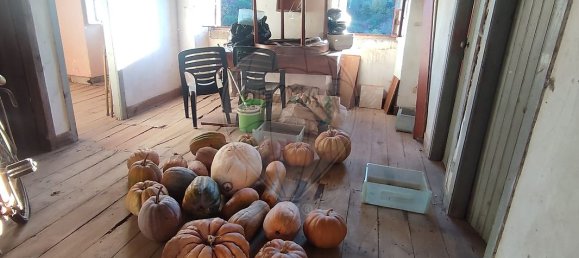 2 bedrooms House in Aguda, Portugal No. 17692 10