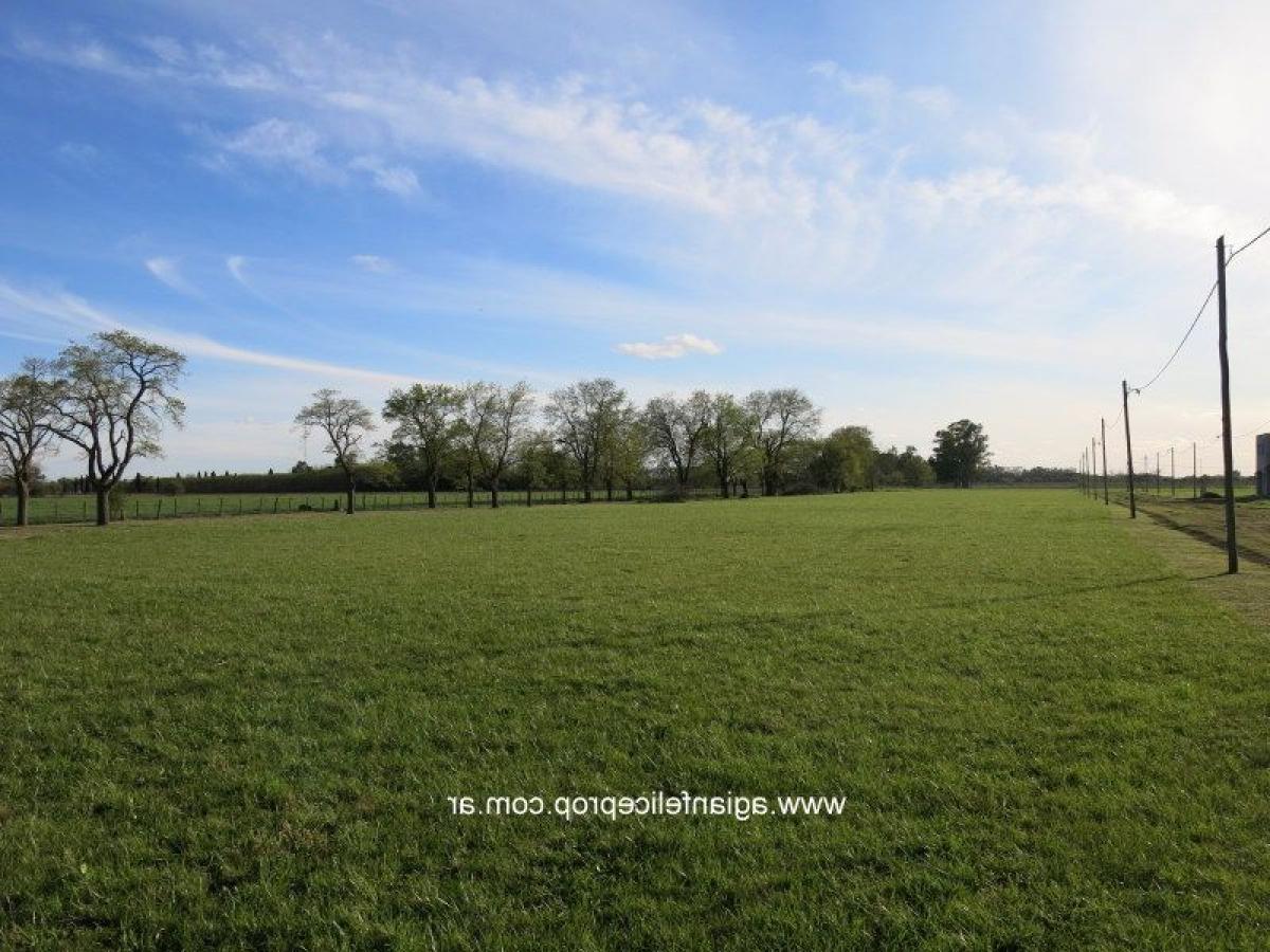  Land in Buenos Aires, Argentina No. 118042