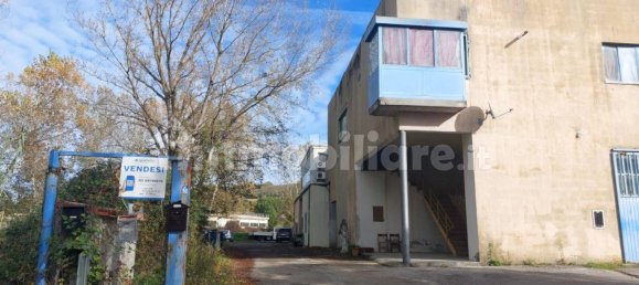 230m² Office in Monteriggioni, Italy No. 325714 15