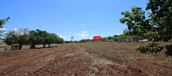 1 bedroom House in Martina Franca, Italy No. 343004 6