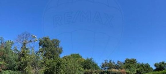 10 bedrooms House in Trancoso, Portugal No. 64902 7