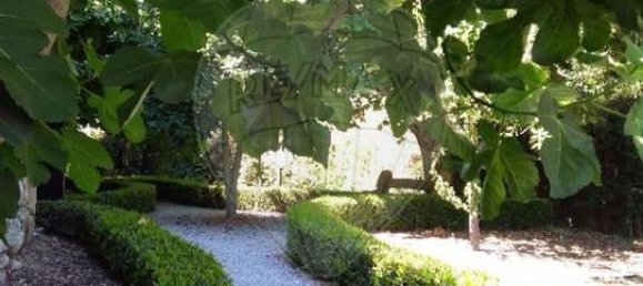 10 bedrooms House in Trancoso, Portugal No. 64902 5