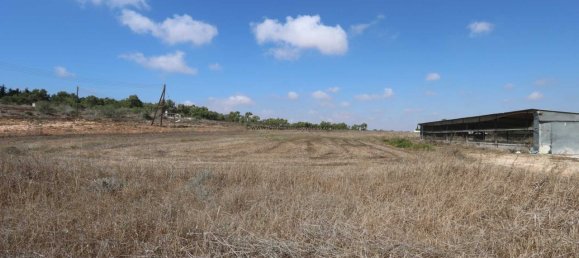 Grundstück in Paralimni, Cyprus, Nr. 24130 2