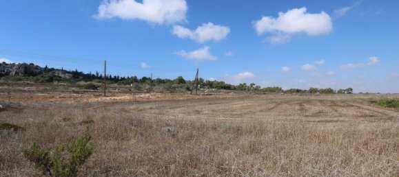 Grundstück in Paralimni, Cyprus, Nr. 24130 3