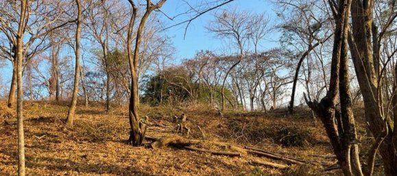  Land in Santa Cruz, Costa Rica No. 1561 4