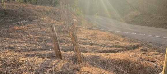  Land in Santa Cruz, Costa Rica No. 1561 5