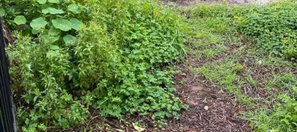  فندق في Chania, Greece 1372متر مربع رقم 3323 4